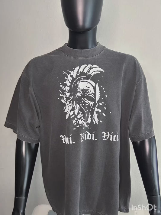 Oversized Spartan Veni Vidi Vici Pump Cover #3