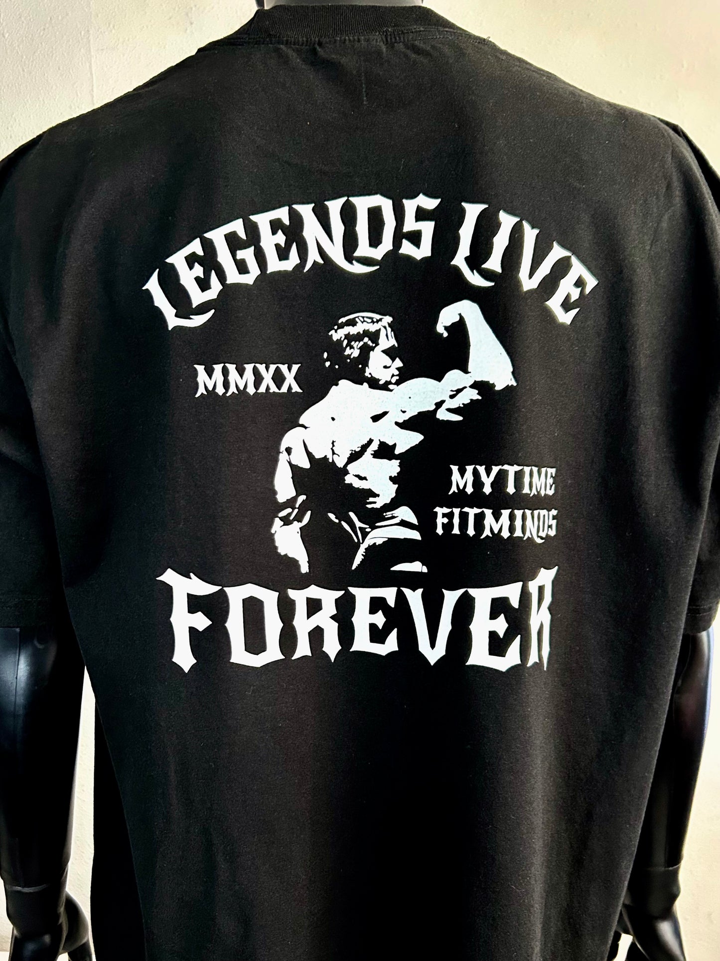 4. ARNOLD CLASSIC PUMPING IRON - IRON KINGS FITMINDS PUMP COVER