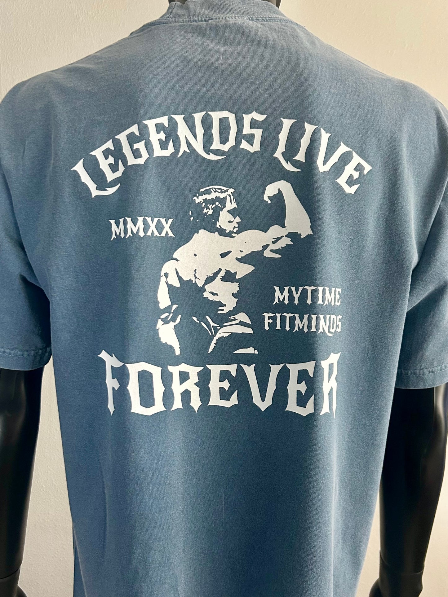 4. ARNOLD CLASSIC PUMPING IRON - IRON KINGS FITMINDS PUMP COVER