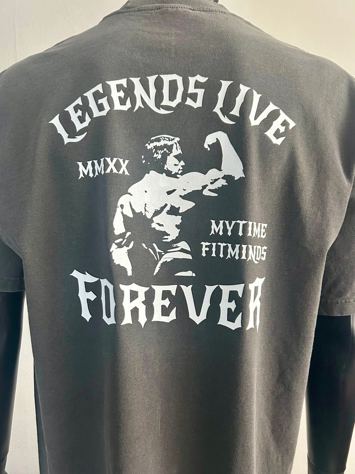 4. ARNOLD CLASSIC PUMPING IRON - IRON KINGS FITMINDS PUMP COVER