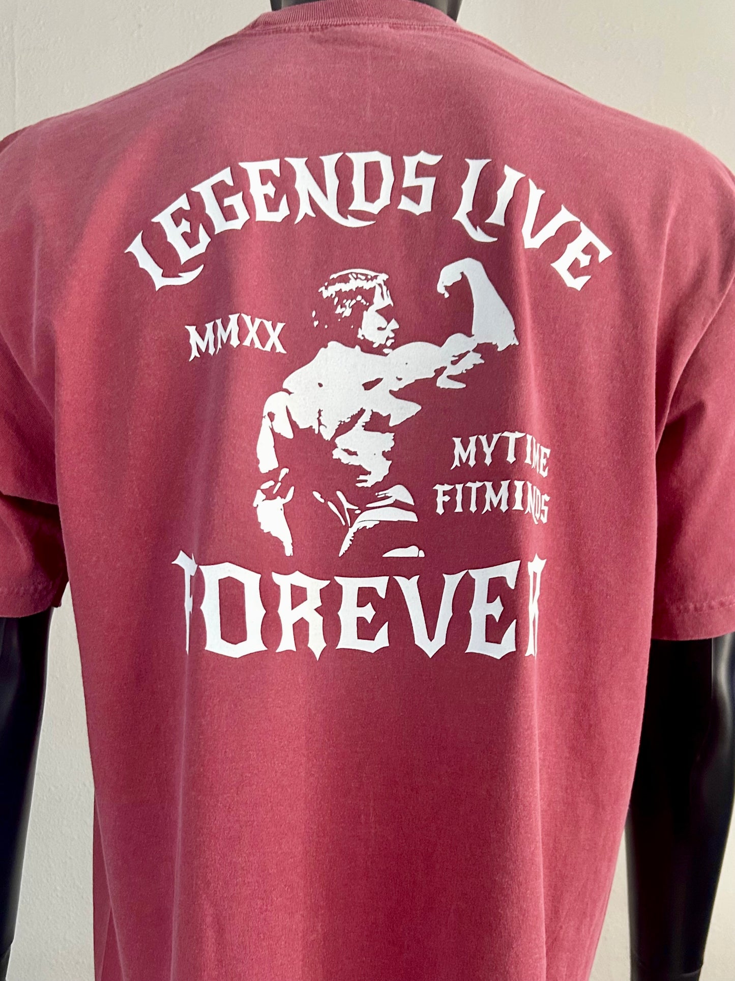 4. ARNOLD CLASSIC PUMPING IRON - IRON KINGS FITMINDS PUMP COVER